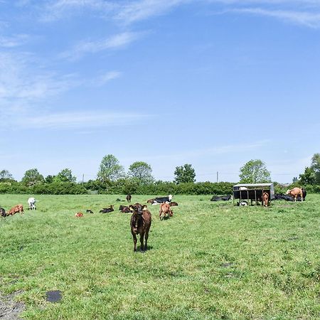 Green Acre Farm Ely Eksteriør billede